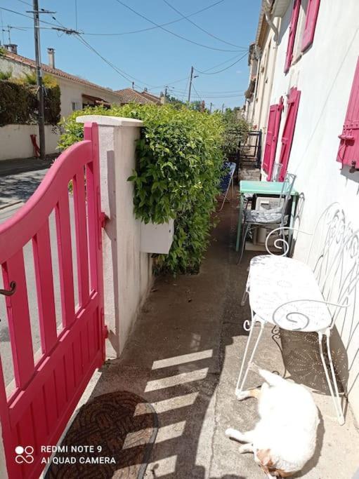 Maison Cuxac-d'Aude ภายนอก รูปภาพ